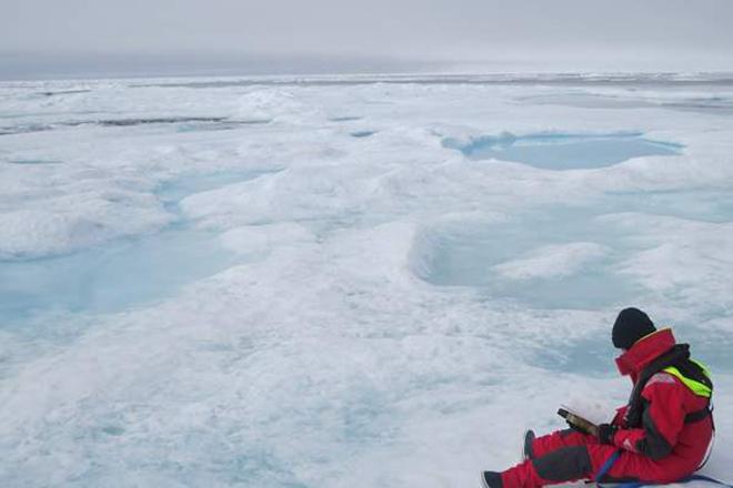 Nera sitting on the ice. © Cornell Sailing Events